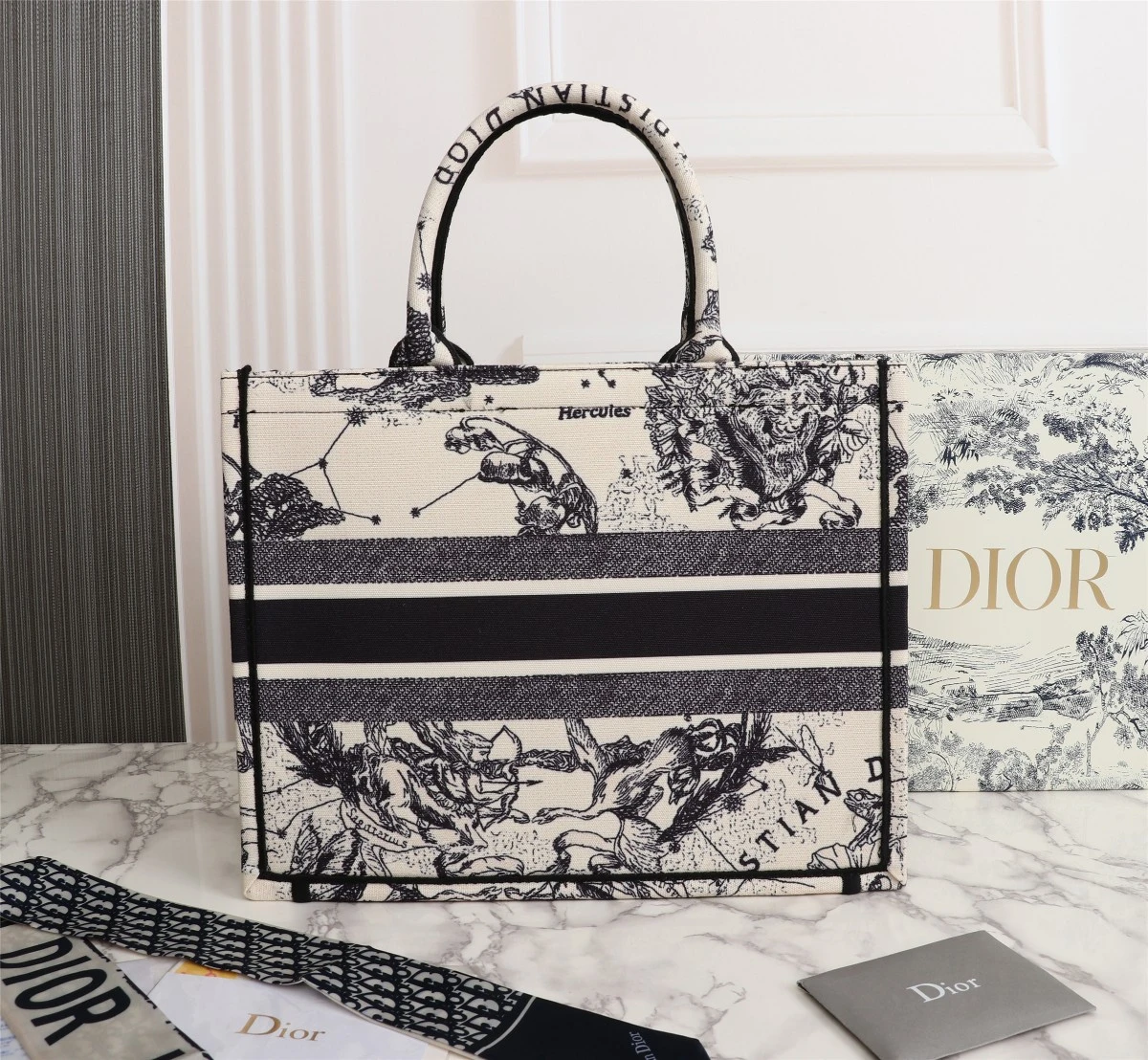 Dior Latte Multicolor Medium/Large Book Tote 3 MZR