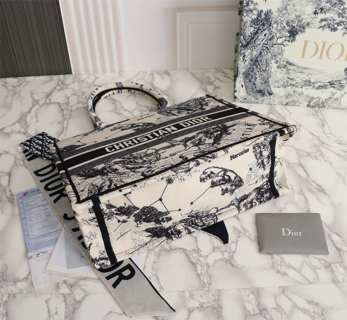 Dior Latte Multicolor Medium/Large Book Tote 6 MZR