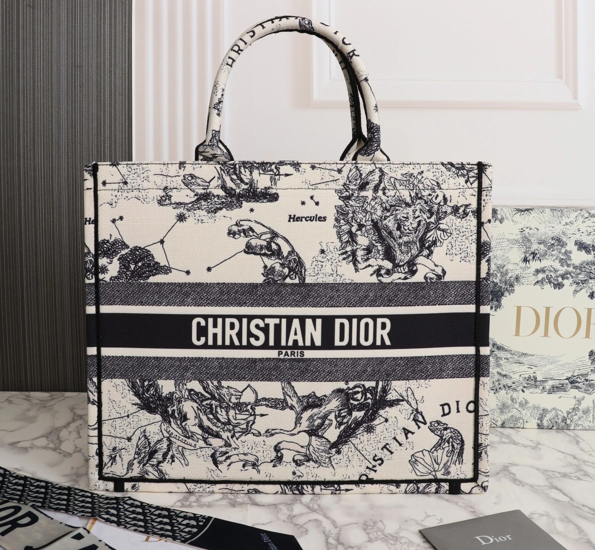 Dior Latte Multicolor Medium/Large Book Tote 9 MZR L
