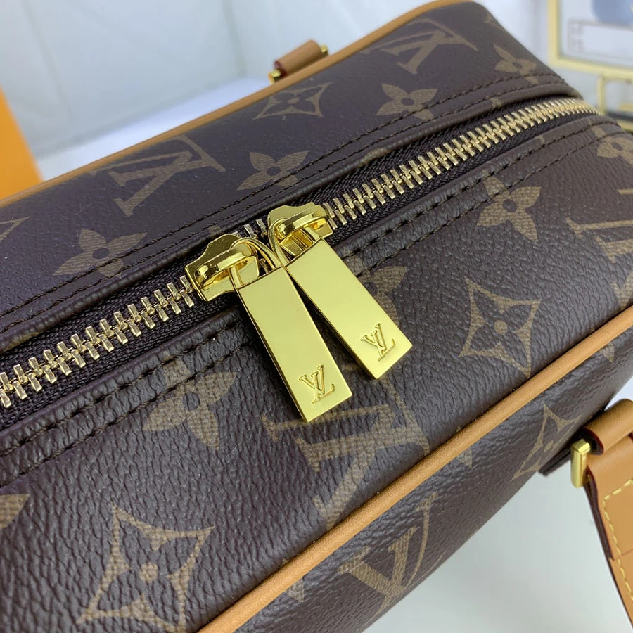 Louis Vuitton Monogram Pochette Cite Shoulder Bag 10 M
