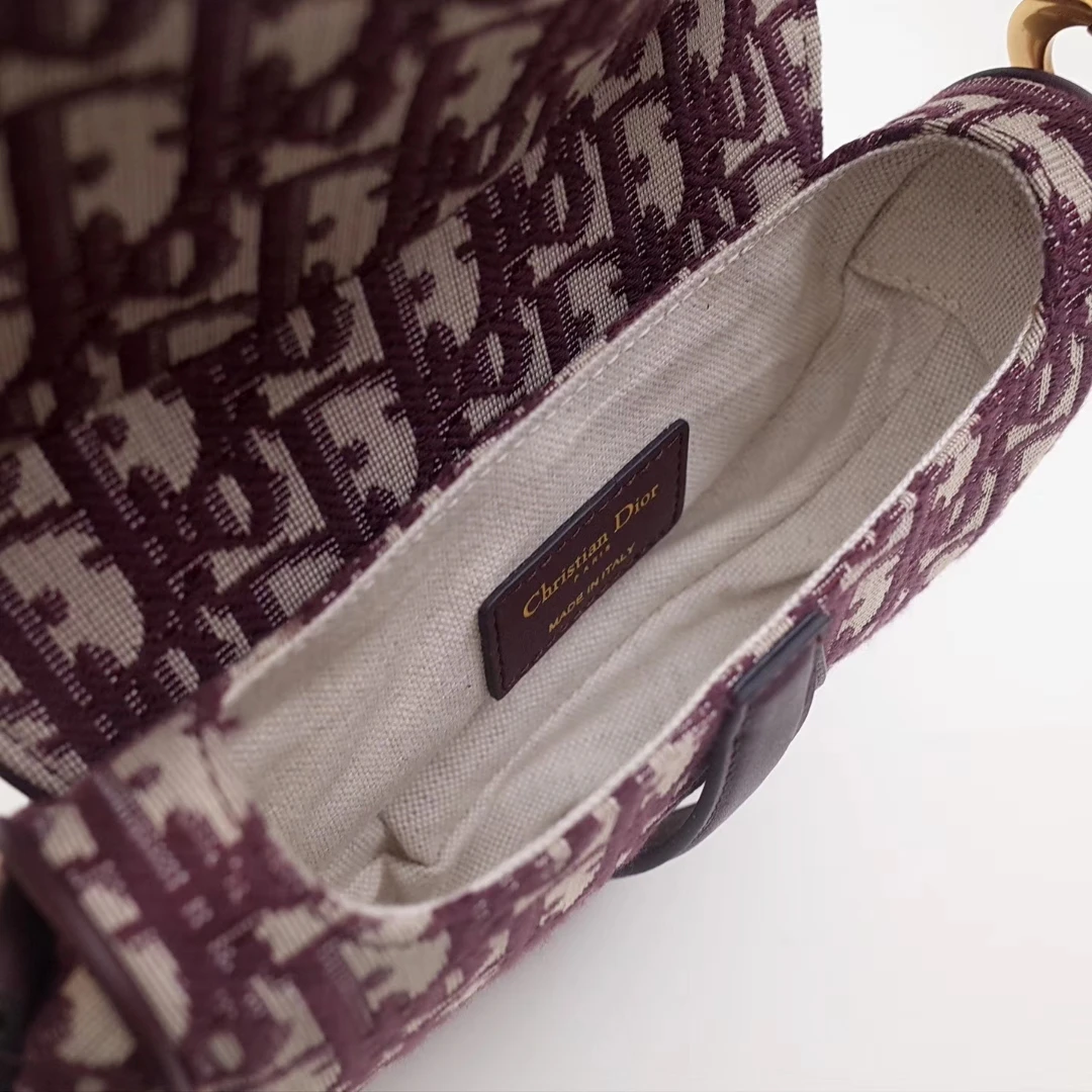 Dior Mini Oblique Saddle Bag 5 M