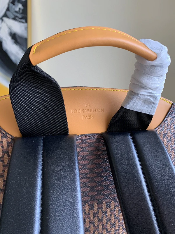 Louis Vuitton AAA-Campus Backpack N40380 3 N