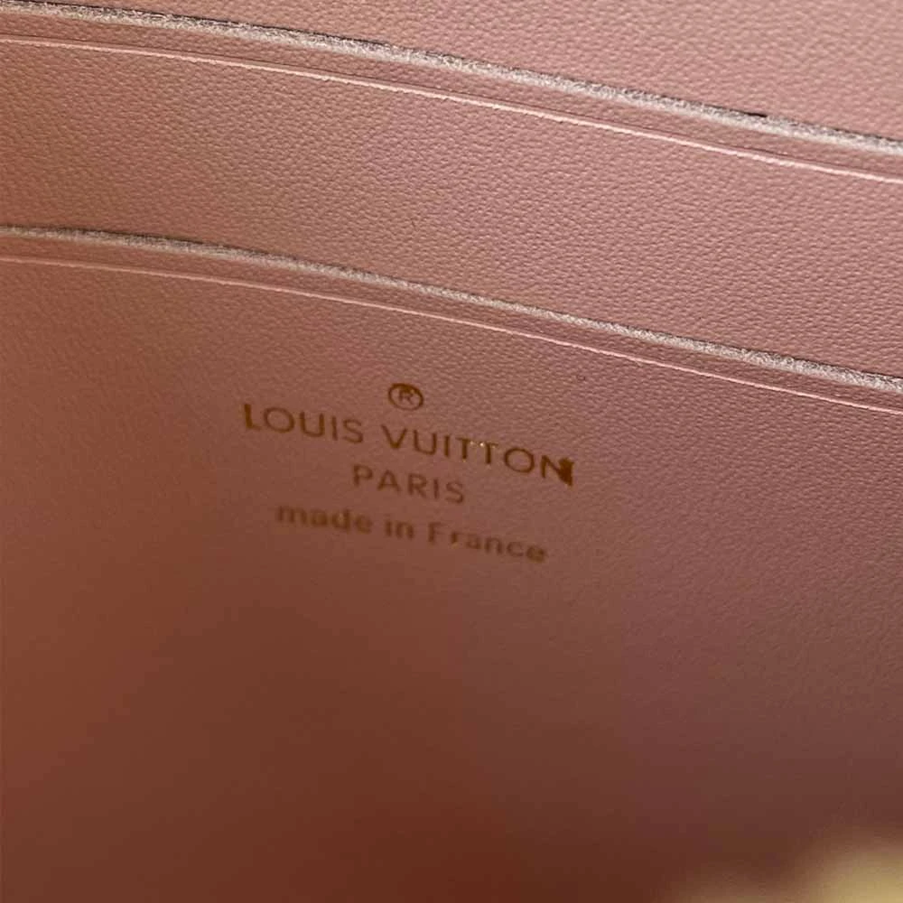 Louis Vuitton DOUBLE ZIP POCHETTE N60254 3 N