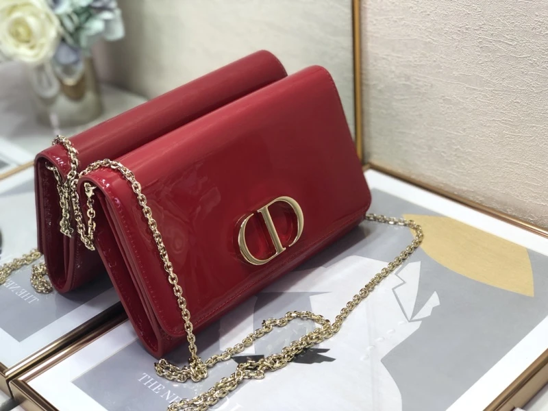 Dior 30 Montaigne Pouch 4 S