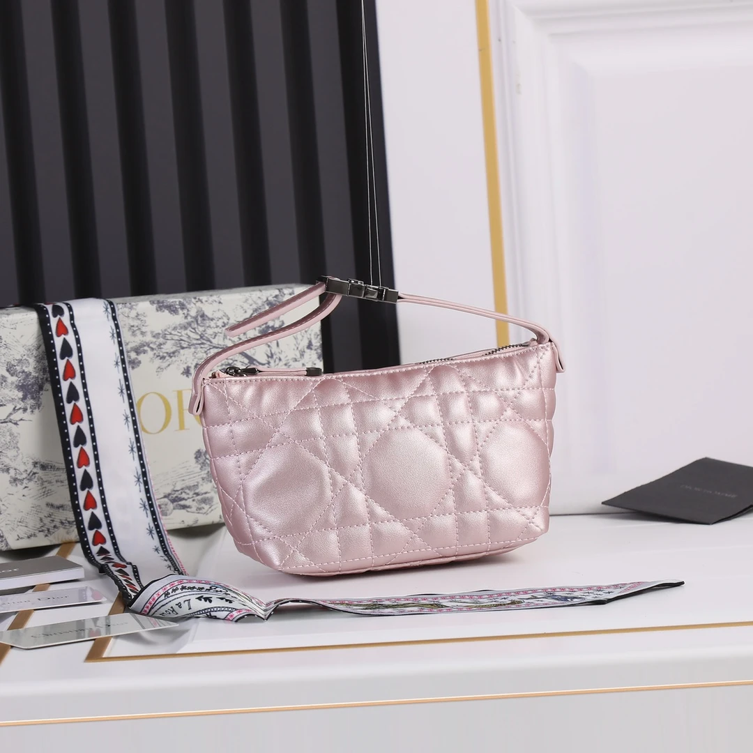 Dior Small DrTravel Nomad Pouch 11 SBMIG