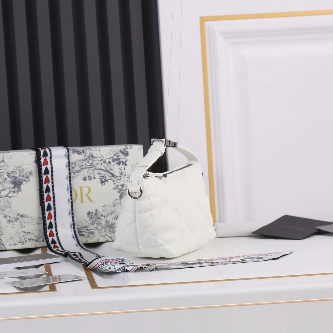 Dior Small DrTravel Nomad Pouch 17 SBMIG