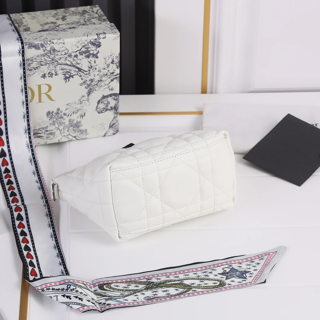 Dior Small DrTravel Nomad Pouch 19 SBMIG