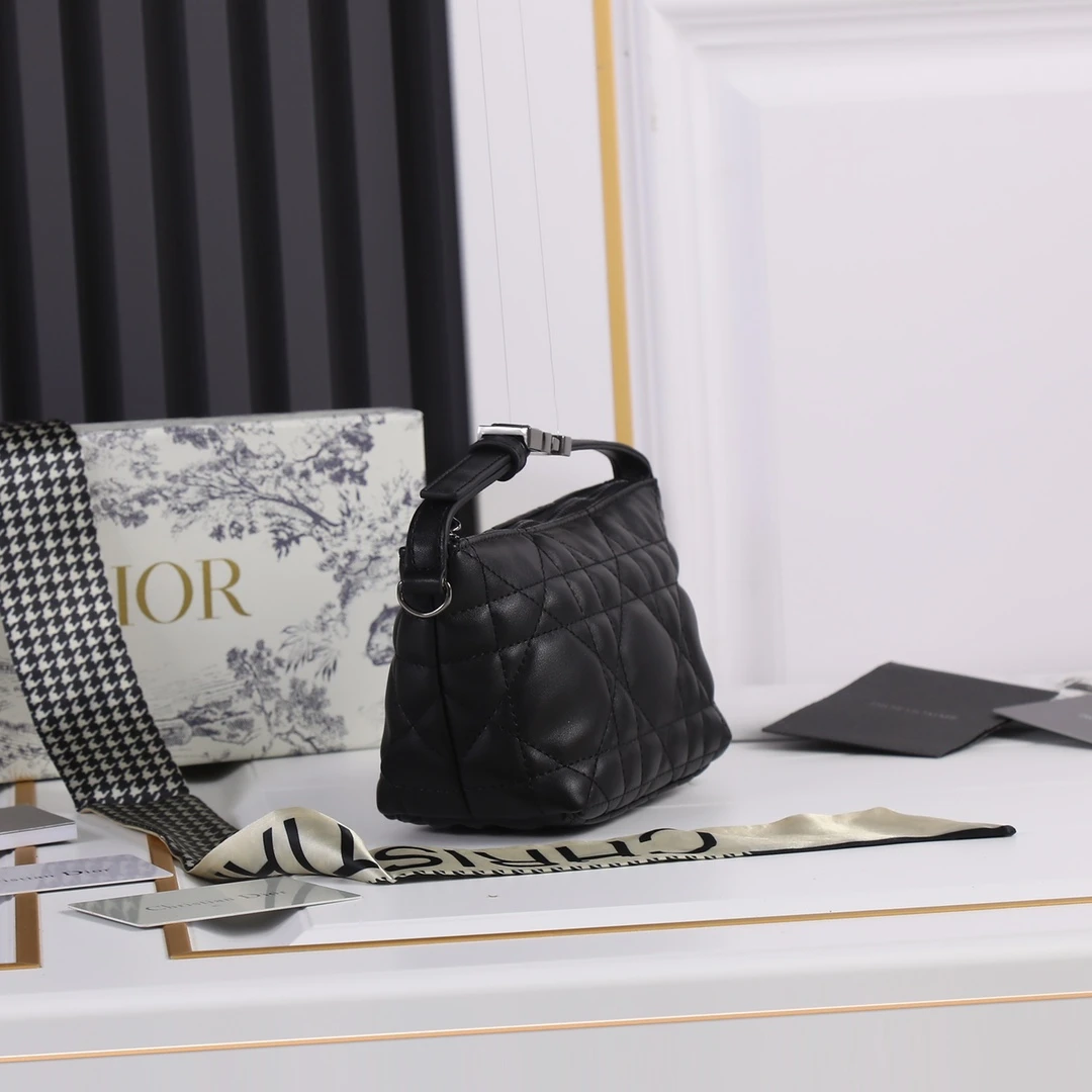 Dior Small DrTravel Nomad Pouch 3 SBMIG