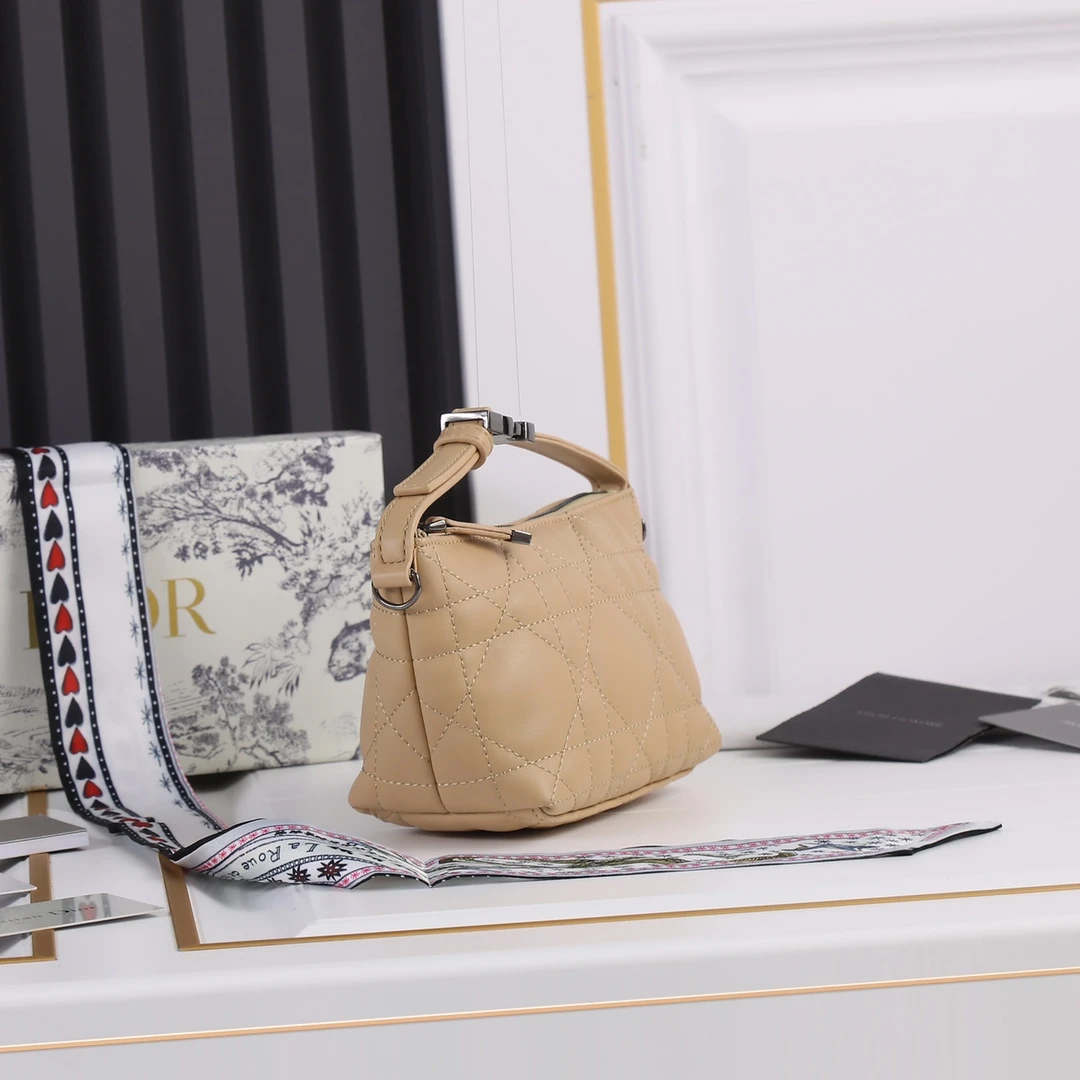 Dior Small DrTravel Nomad Pouch 22 SBMIG