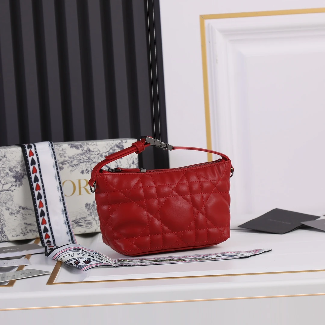 Dior Small DrTravel Nomad Pouch 26 SBMIG