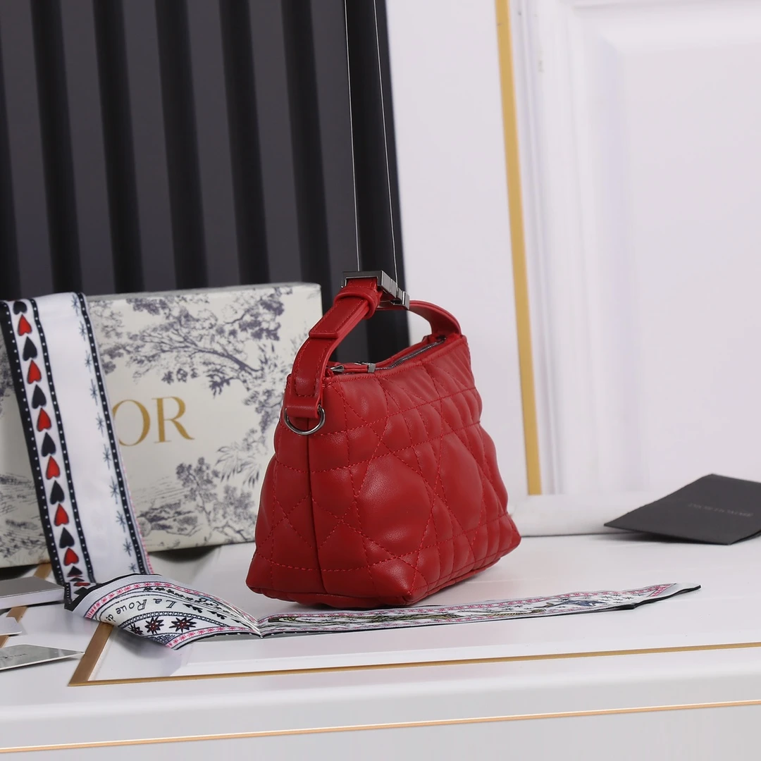 Dior Small DrTravel Nomad Pouch 27 SBMIG