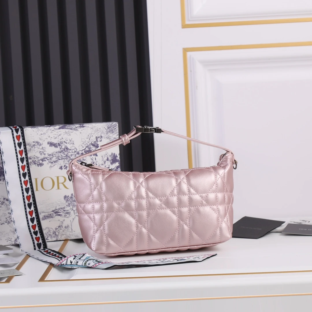 Dior Medium DrTravel Nomad Pouch 12 SBMIG