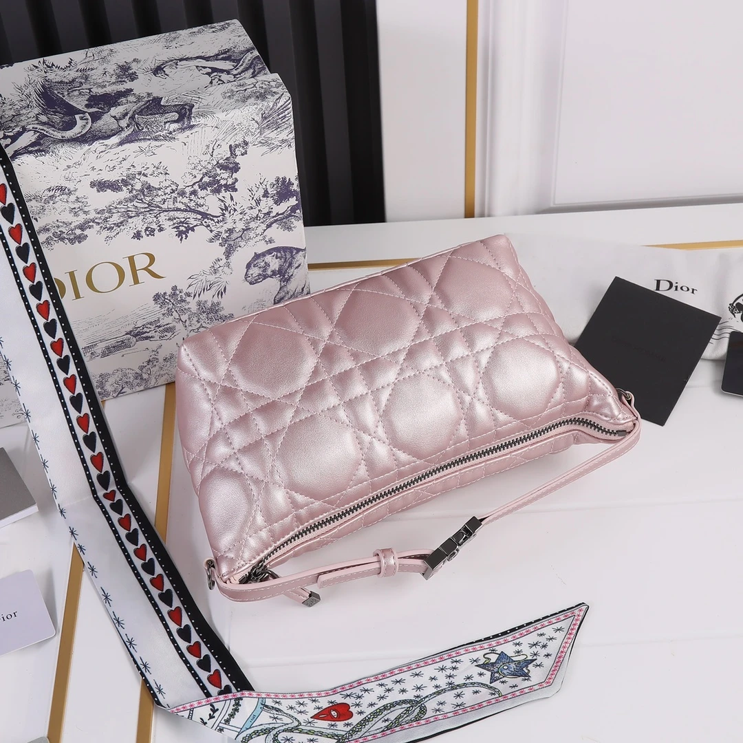 Dior Medium DrTravel Nomad Pouch 14 SBMIG