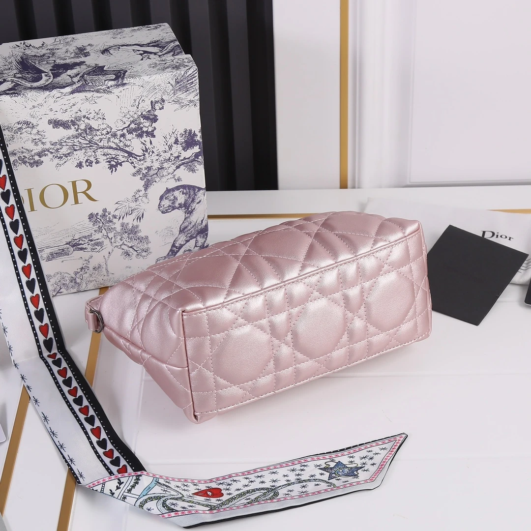 Dior Medium DrTravel Nomad Pouch 15 SBMIG