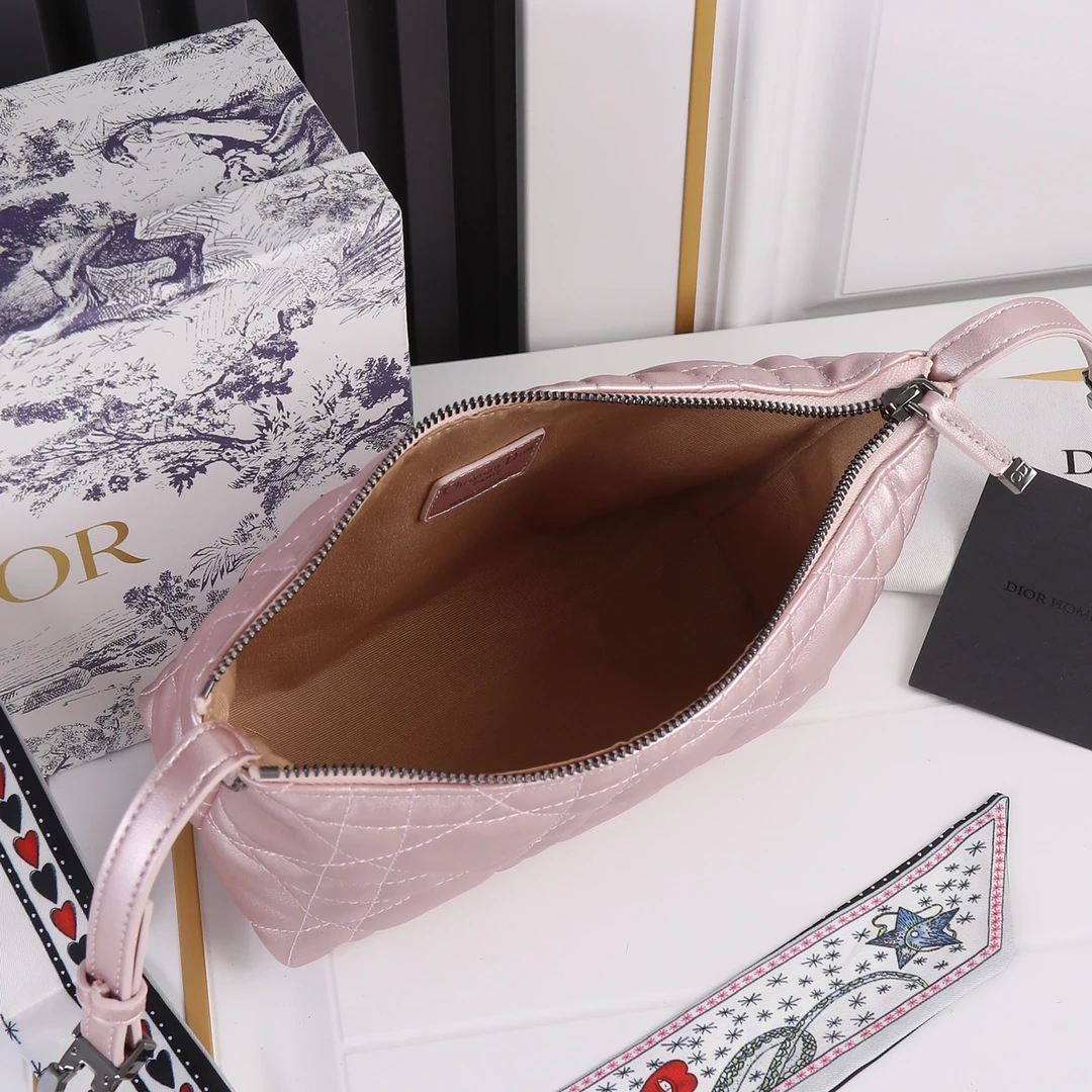 Dior Medium DrTravel Nomad Pouch 16 SBMIG