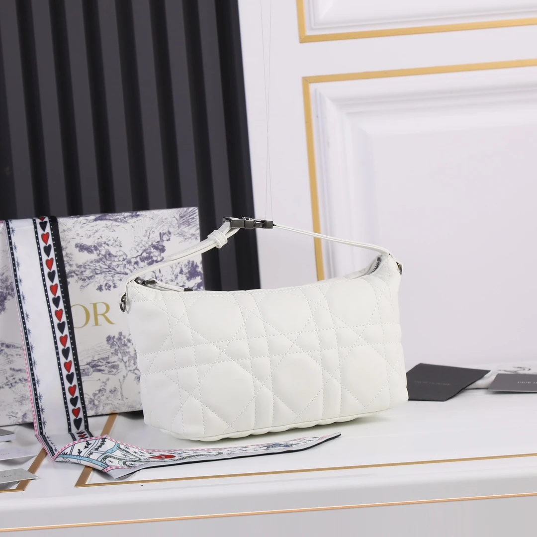 Dior Medium DrTravel Nomad Pouch 17 SBMIG