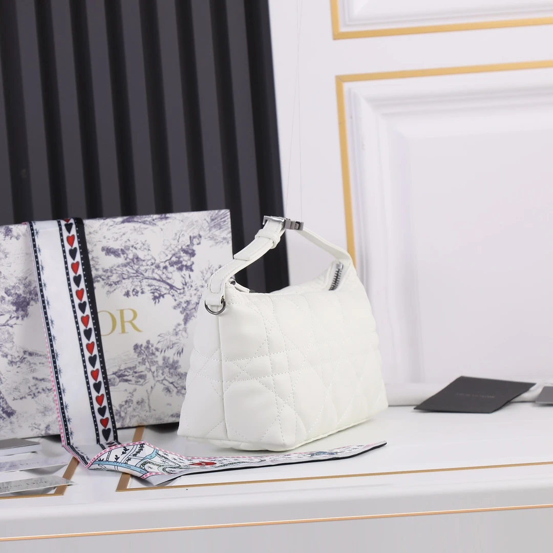 Dior Medium DrTravel Nomad Pouch 18 SBMIG