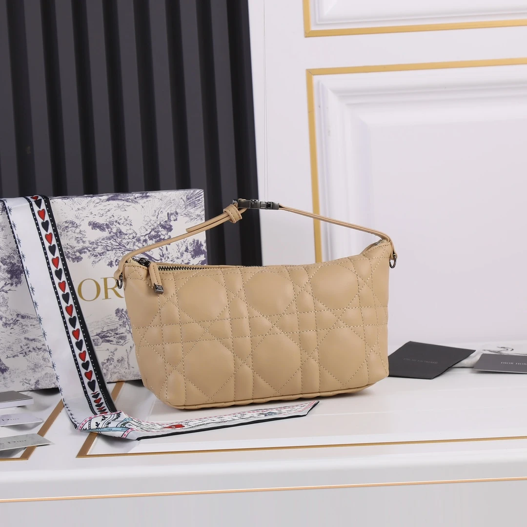 Dior Medium DrTravel Nomad Pouch 22 SBMIG