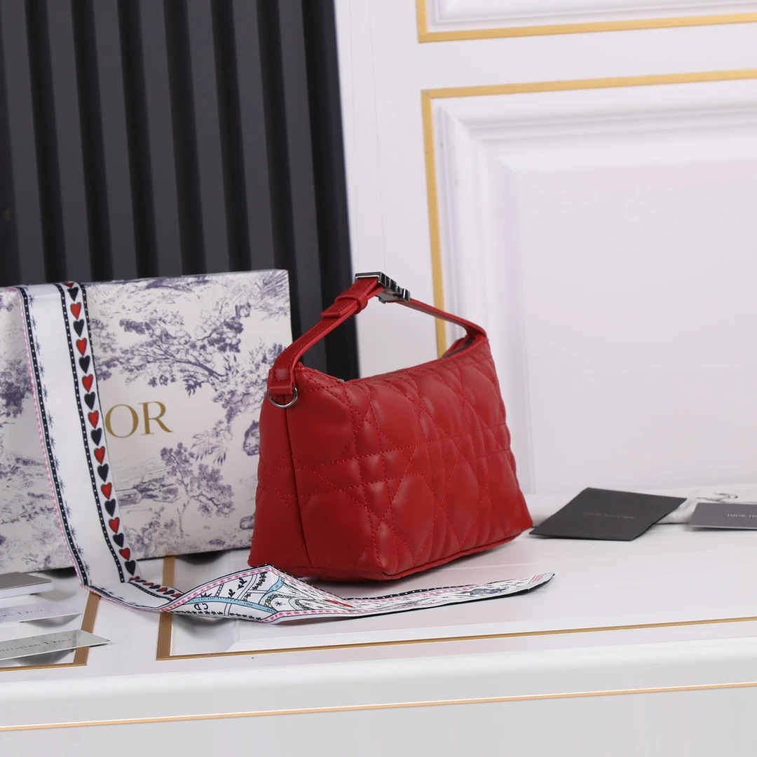 Dior Medium DrTravel Nomad Pouch 28 SBMIG