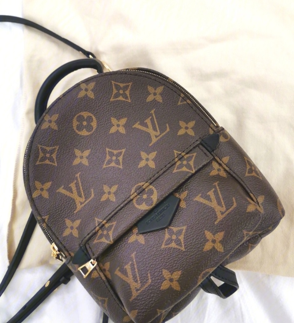 Louis Vuitton Palm Springs Backpack photo review