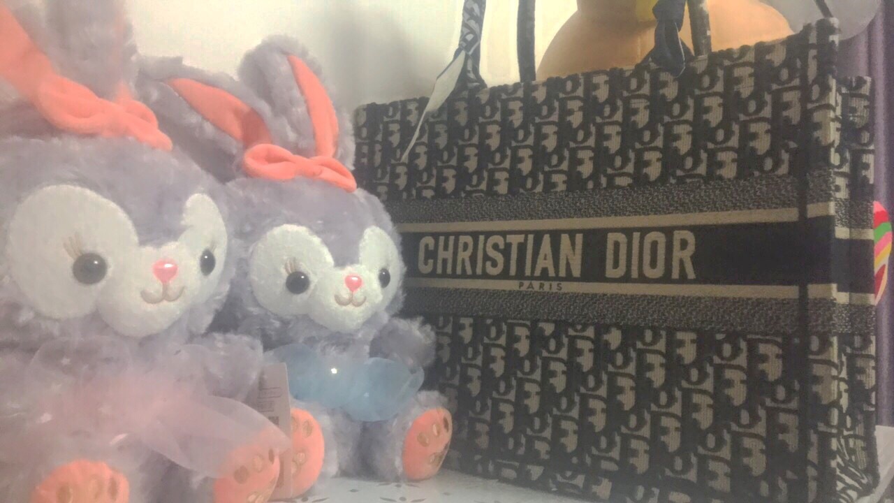 Dior Oblique Embroidery Mini Book Tote photo review