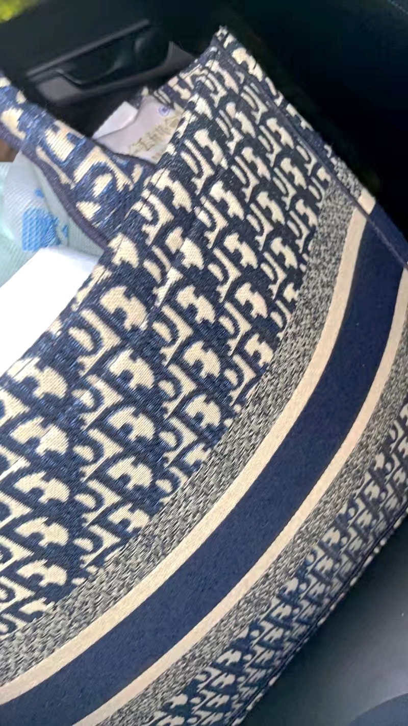 Dior Oblique Embroidery Mini Book Tote photo review