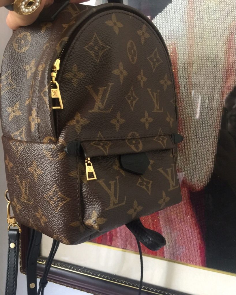 Louis Vuitton Palm Springs Backpack photo review