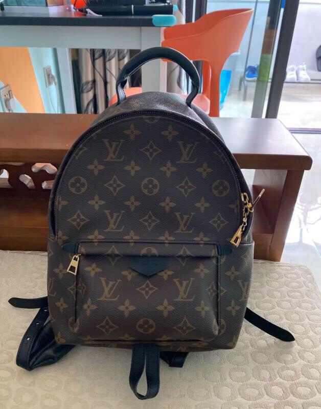Louis Vuitton Palm Springs Backpack photo review