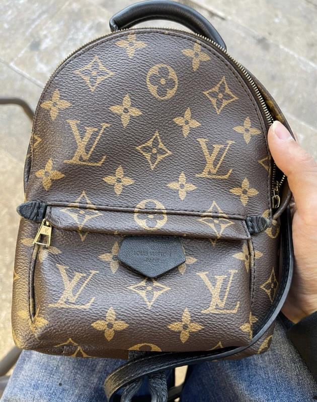 Louis Vuitton Palm Springs Backpack photo review